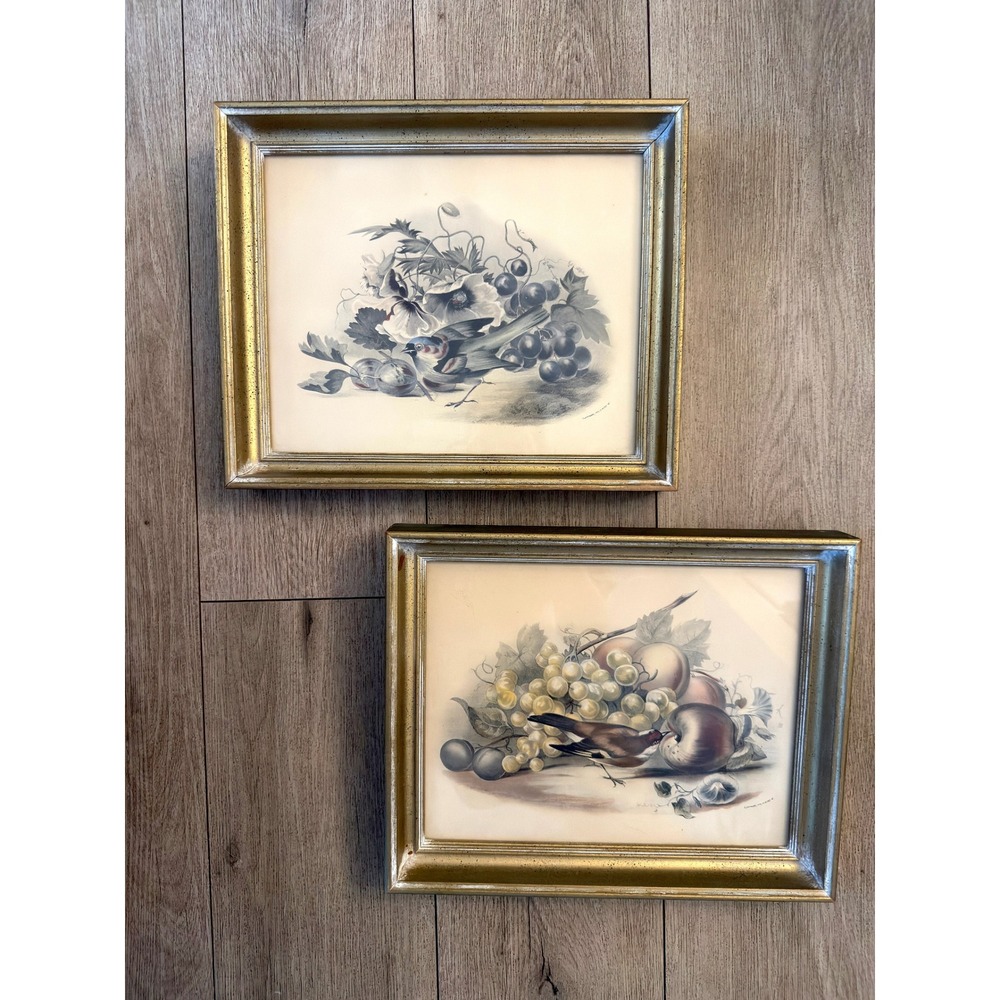 Vintage P.J. Ferrand Bird Fruit Floral Lithograph Prints Gold Frames Set 2